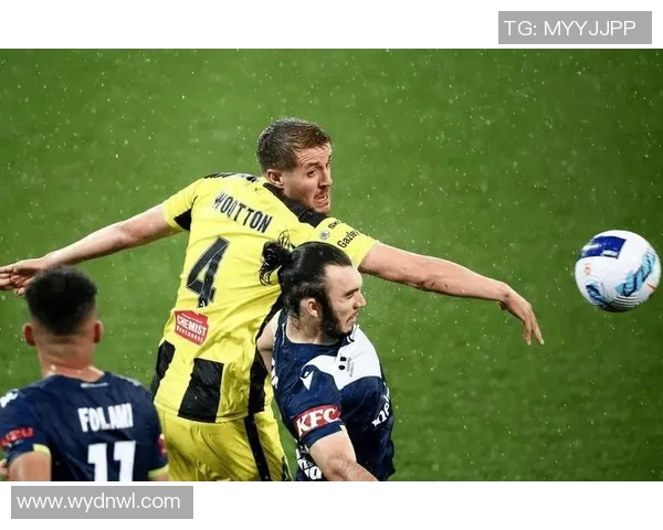 惠灵顿凤凰主场迎战墨尔本胜利期待激烈对决与精彩表现