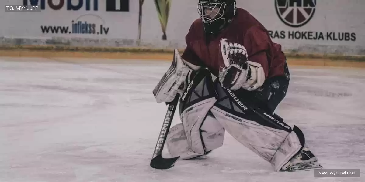 🏋️ 专业品质,助力每一次突破!💪