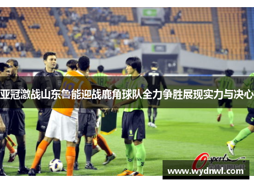 亚冠激战山东鲁能迎战鹿角球队全力争胜展现实力与决心