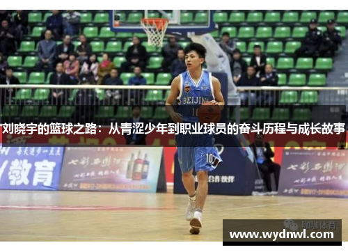 刘晓宇的篮球之路：从青涩少年到职业球员的奋斗历程与成长故事