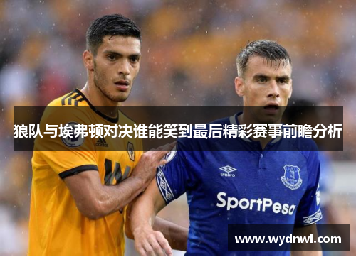 狼队与埃弗顿对决谁能笑到最后精彩赛事前瞻分析